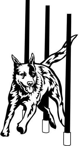 Australian cattle dog - australian,