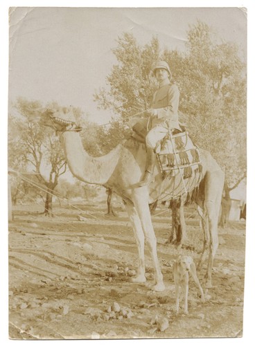 Original foto kamelreiter - foto,