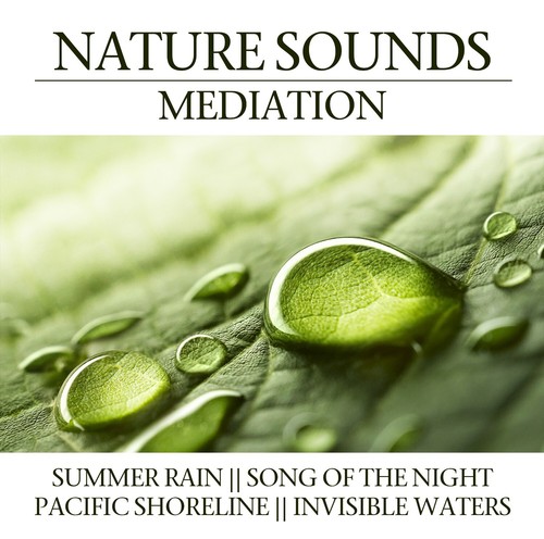 Nature sounds meditation - cd,