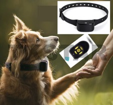 Anti-Bell Erziehungshalsband