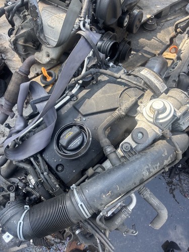 Motor tdi bkc - motor, 1.9