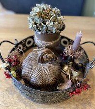 Kürbis Deko Zierkürbis