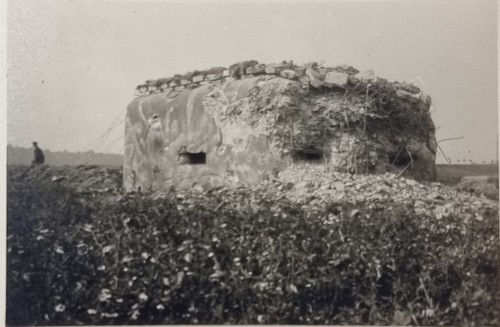 Maginot-Linie