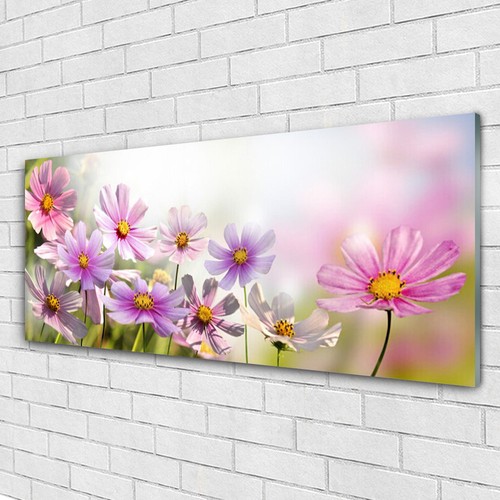Glasbilder wandbild druck auf - glasbilder,
