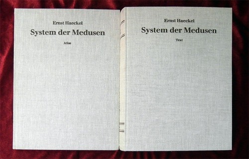 Ernst haeckel das system - ernst, der
