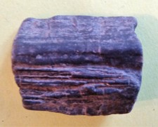 Verkieseltes Holz aus der