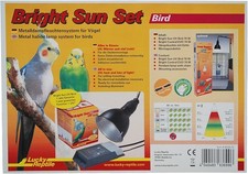 Bright Sun Set Bird