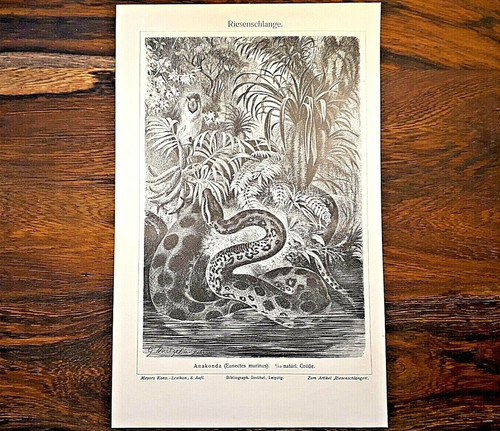 Alte lithographie - alte,