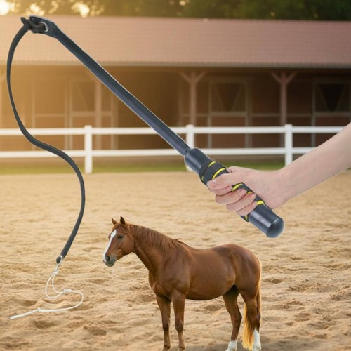 Pferdetrainingspeitsche