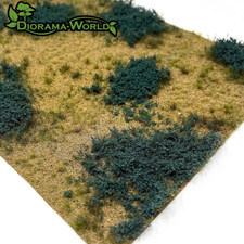 Wüste mit Salbei-Büschen -