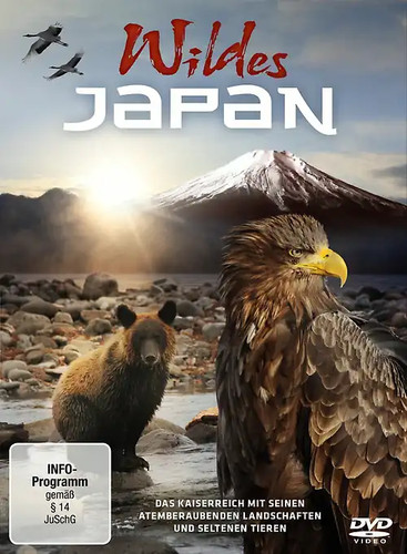 Wildes japan - wildes,
