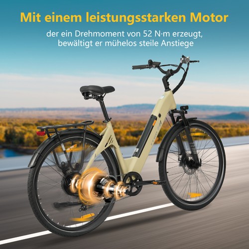 Ttgo elektrofahrrad 250w - c3-se,