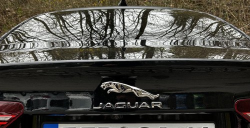 Neu jaguar set - set, emblem
