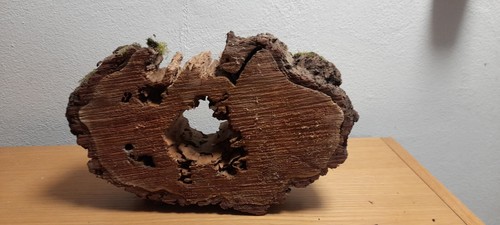 Baumscheiben holzscheiben - baumscheiben,