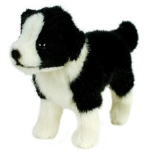Kösen hund border - kÖsen,