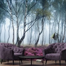 Vlies Fototapete BIRKENWALD Landschaft Bäume Natur Wohnzimmer Wandapete Moderne