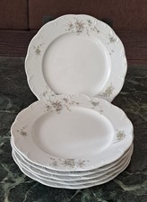 6 Speiseteller Rosenthal Group