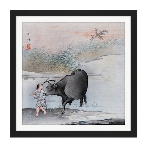 Hashimoto gaho kreuzung kuh - hashimoto,