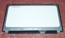 39,6cm (15.6") AU Optronics