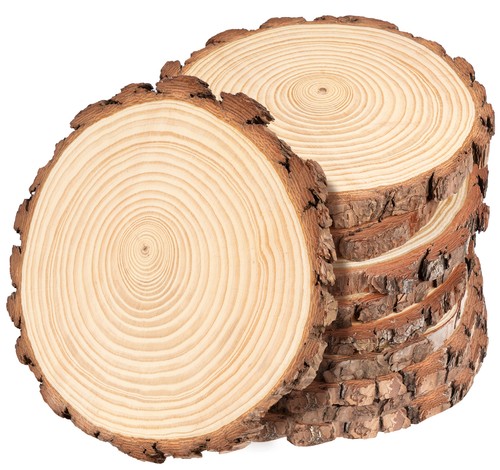 10er holzscheiben 15cm - 10er, 14-15cm
