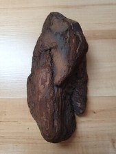 Schwemmholz Treibholz Brett