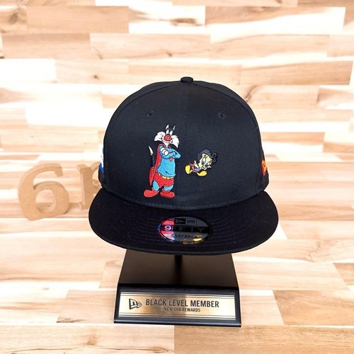 New era warner bros - new,