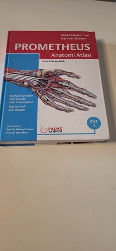 Lehrbuch anatomie atlas - anatomie,