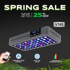 VIPARSPECTRA Timer Control