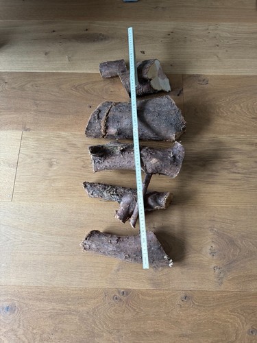 Wacholder holz - wacholder,