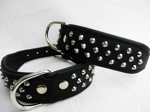 Hundehalsband nieten - hundehalsband,,