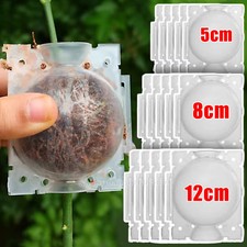 Pflanzen Bewurzelung Kugel