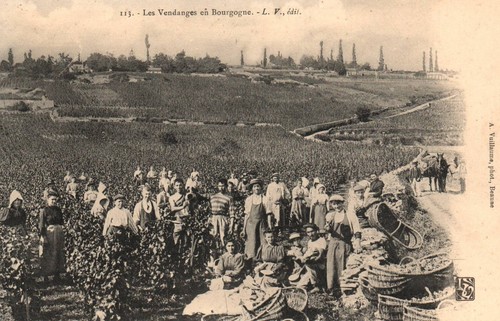 Cpa weinbau - 21,