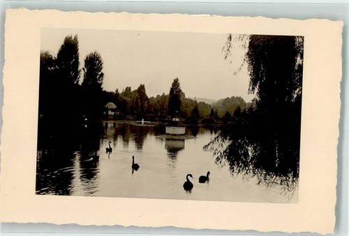 39549401 6660 zweibruecken - 39549401,