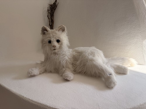 Süße furreal katze die - katze,