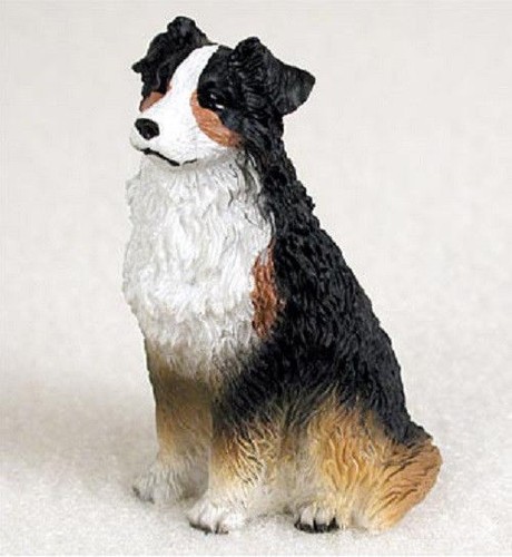 Australian shepherd mini - shepherd,