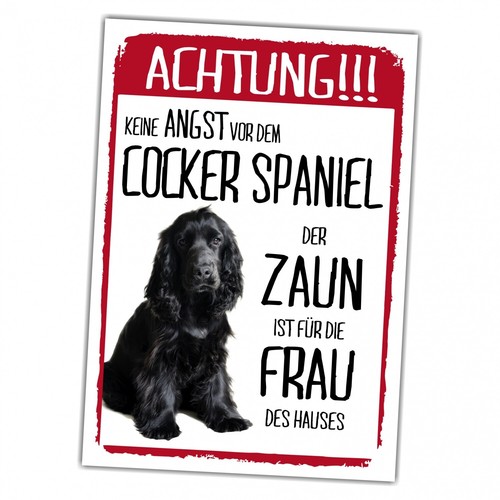 Cocker spaniel schwarz dog - cocker,