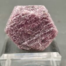 ?Video?Sehr schöner großer XL Rubin Kristall 4,5x4,5x1,9cm 104gr. aus Tansania