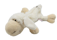 Nici Kuscheltier Schaf 🦊Lamm Jolly Mäh Weiß 31 cm liegend Schlampermäppchen