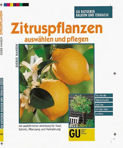 Zitruspflanzen auswählen und