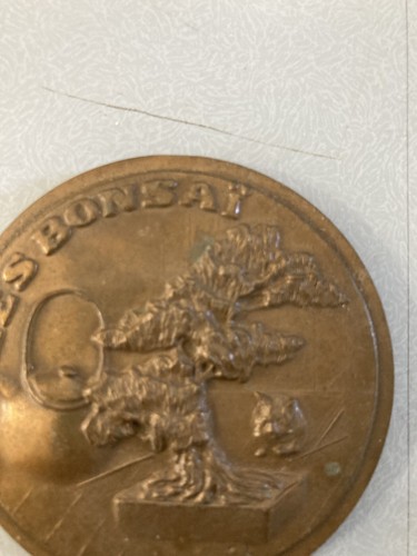 Sehr schöne bronze medaille - schöne,