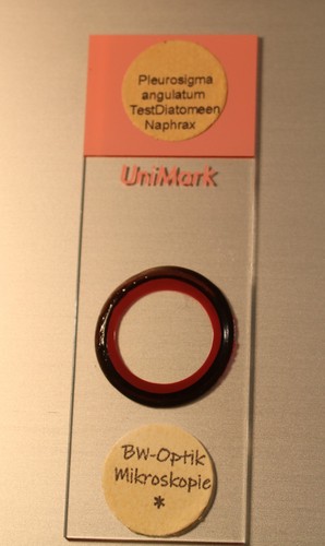 Stück diatomeen mikroskop - stück, diatomeen-mikroskop