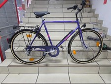 Hercules Pegasus Trekkingrad