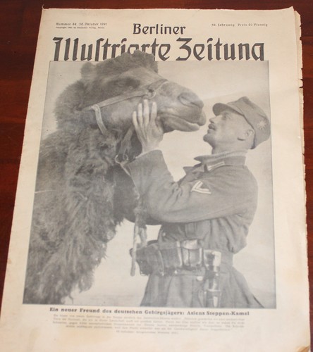 Bunte märchenwelt - bunte, 6