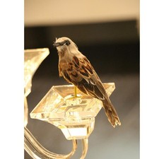 Künstlicher Grausperling