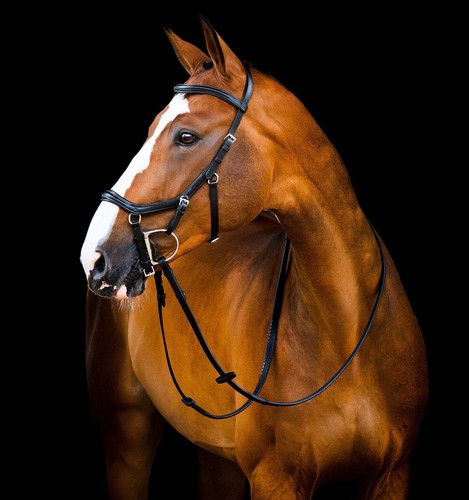 Horseware ireland micklem - ireland, 2