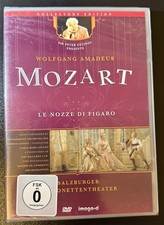 Mozart Salzburger