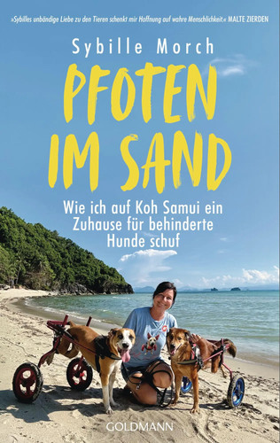 Pfoten sand wie ich - pfoten, auf