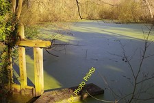 Foto A3 Teich unter Broome