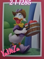 Abenteuer  Tierwelt  - Daisy -