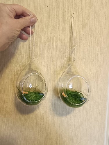 2er set eierförmiges glas - 2er,